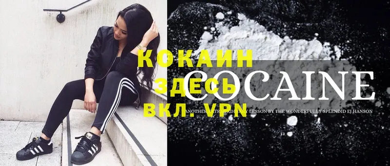 COCAIN Fish Scale  МЕГА ссылка  Алейск  купить  сайты 